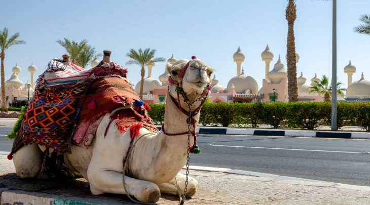 Sharm El Sheikh F&S 3